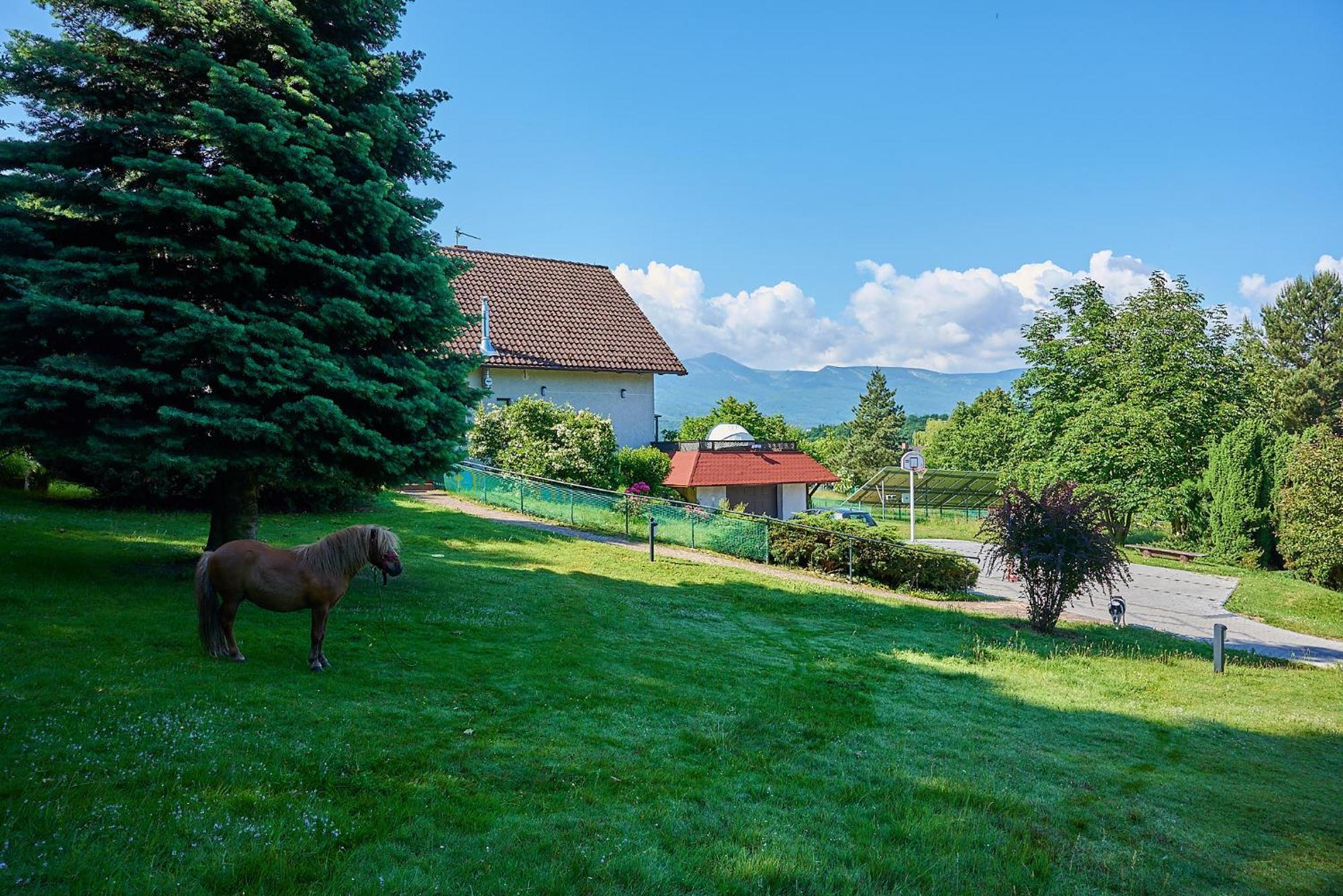 Willa Pod Brzeznikiem Bukowiec  Exterior foto